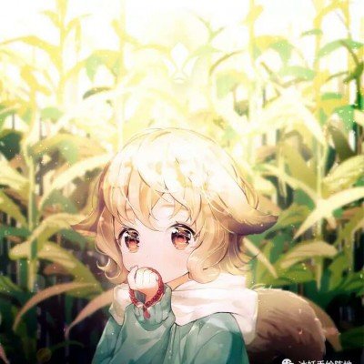 导游称熊猫花花残疾